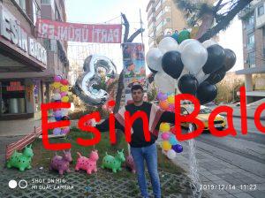 Uçan Balon Kadıköy / 0539 :725 55 88