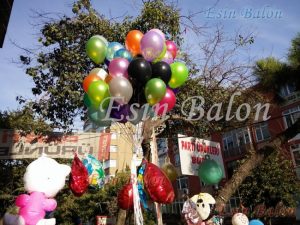 Helyum Gazlı Balon Satışı Erenköy / 0539 : 725 55 88